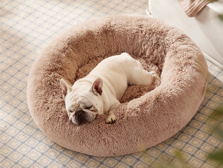 Bedsure's donut pet bed features soft, raised sides and a super-soft, cushioned middle.