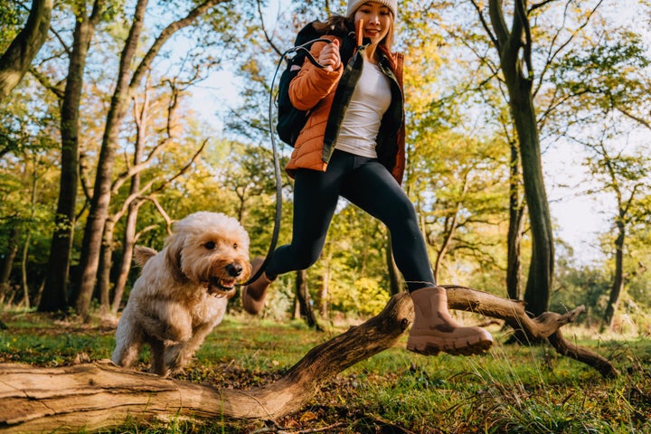 Pay attention to the rules and norms regarding dogs on hikes, especially with regard to keeping them on a leash. 