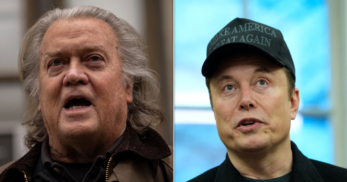 Steve Bannon Calls Elon Musk A 'Parasitic Illegal Immigrant'