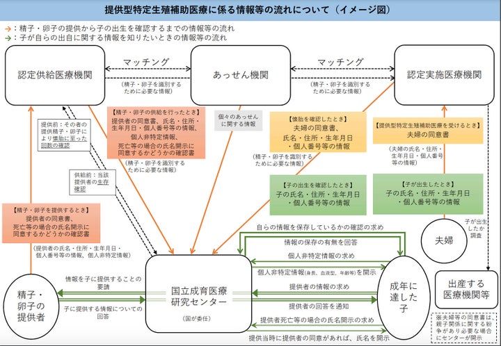 特定生殖補助医療法案のイメージ図