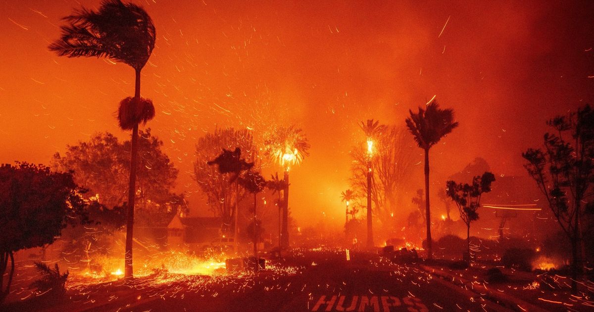 Trump's Mass Layoffs Raise Risk Of Wildfires In West, Warn Fired Workers