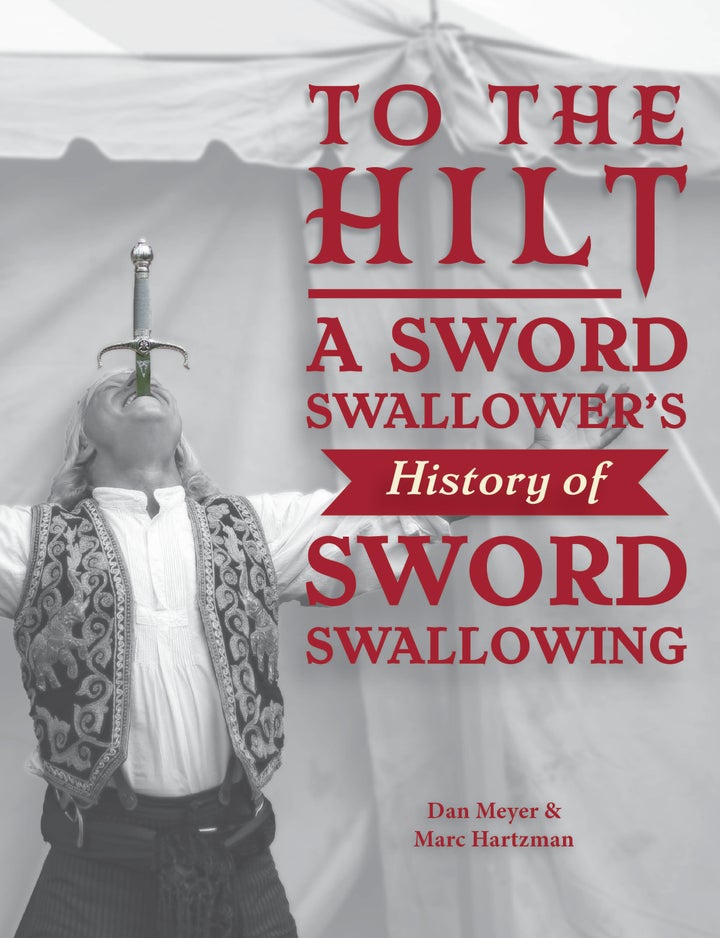 Book cover for "To The Hilt"