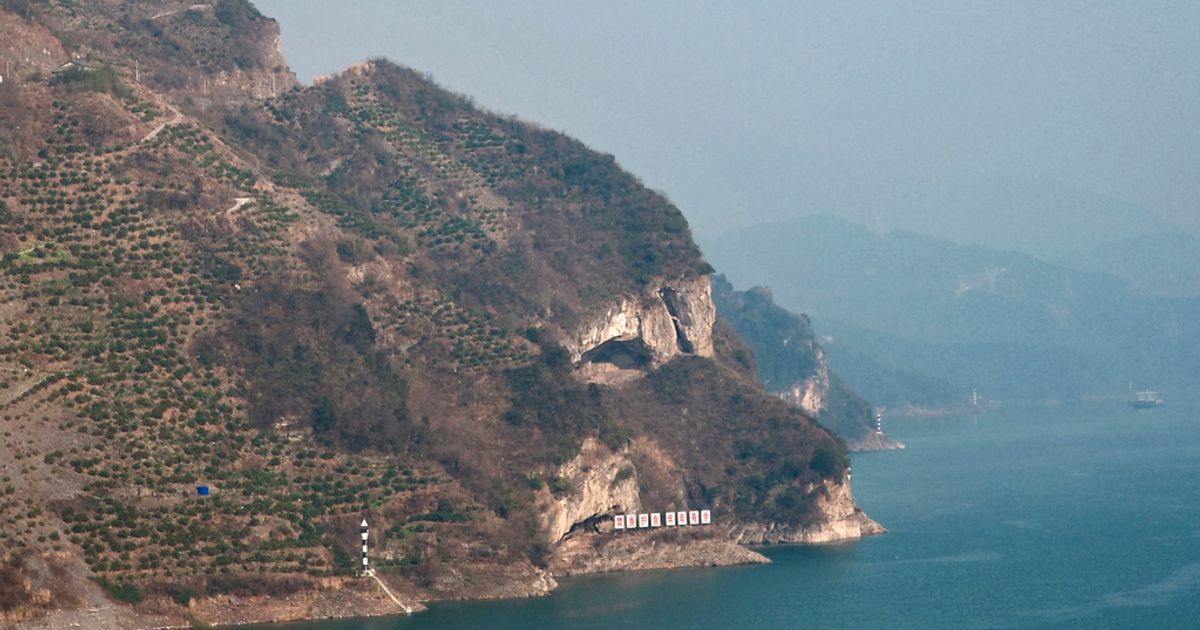 NextImg:Man's Vacation Photo Turns Chinese Riverside Into 'Puppy Mountain'