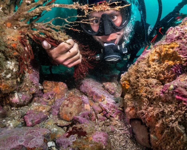 "Without the biologists studying and restoring and understanding and protecting these species, the parks aren't the same," Chan said. He estimated that he has done close to 500 dives during his time at the Channel Islands. 