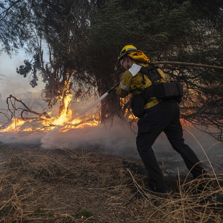 An LA County firefighter hoses down a burning tree from the Hughes Fire in California, on Jan. 22. The new wildfire called 'Hughes Fire' tore through northern Los Angeles County, burning over 9,000 acres just hours after it was first reported.