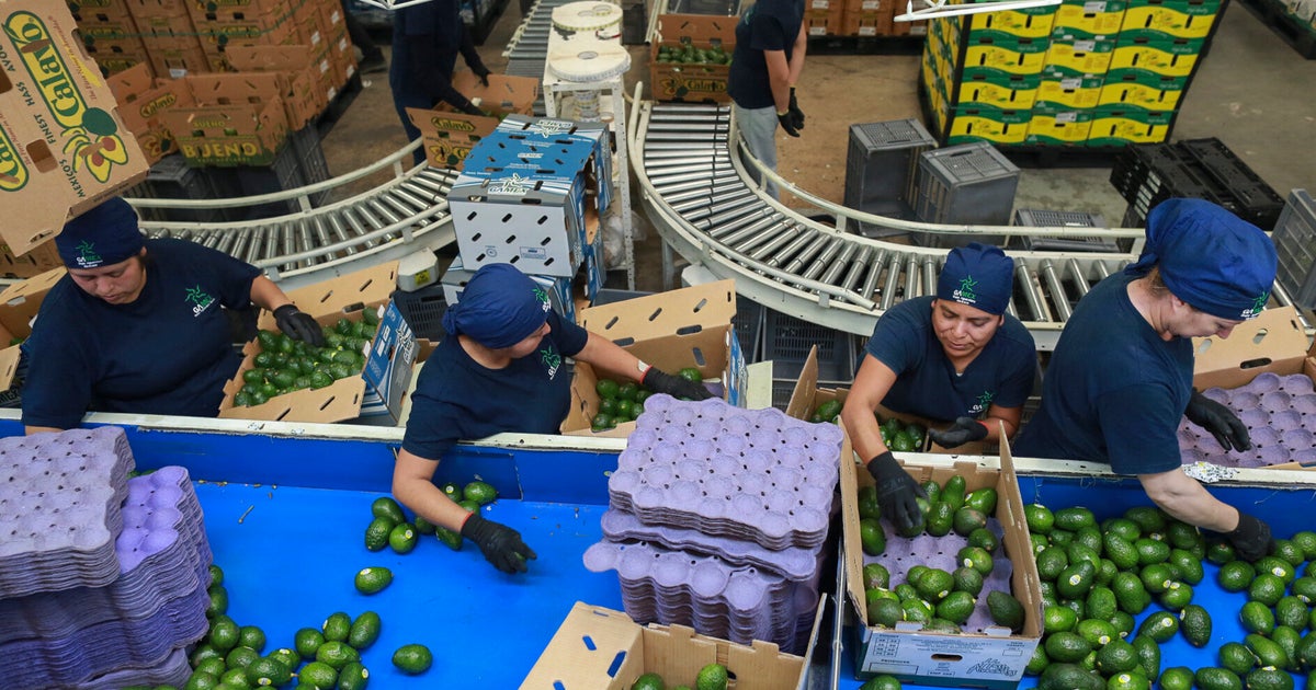 NextImg:Trump's Erratic Trade Policies Are Baffling Businesses, Threatening Investment And Economic Growth