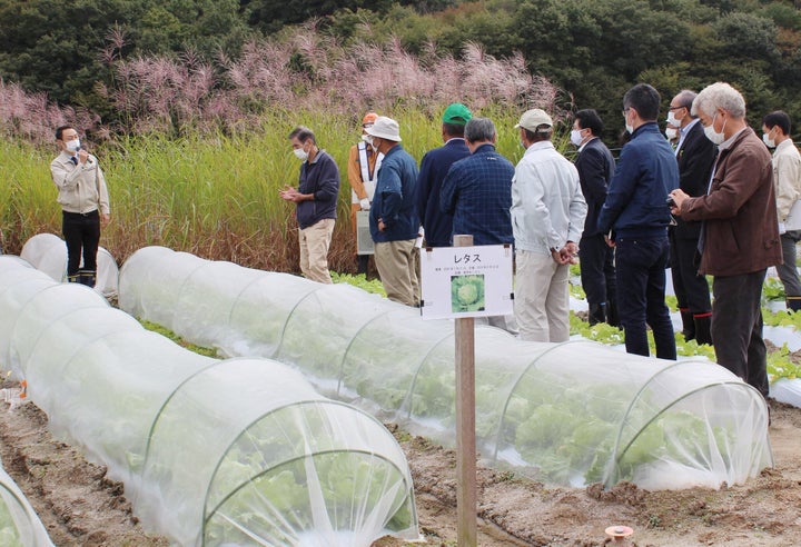 長泥地区で進める除染土を利用した試験栽培について説明を受ける住民ら（2020年10月6日、福島県飯舘村で）