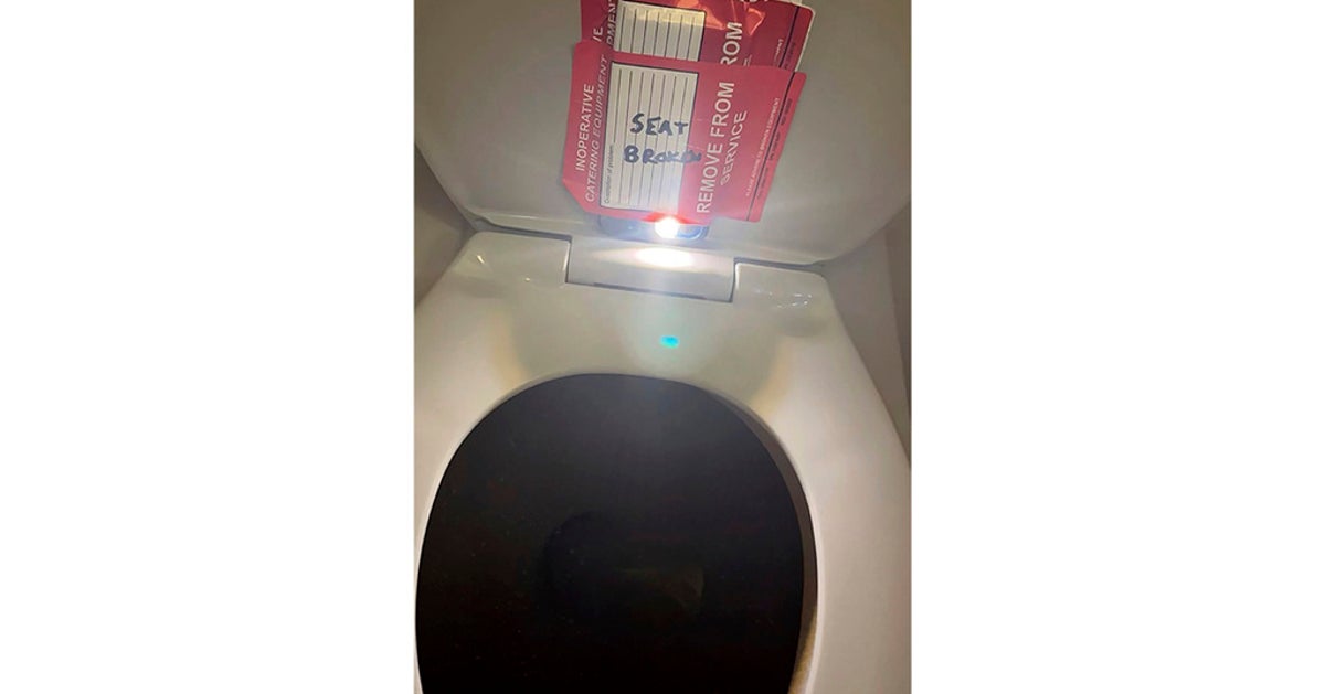 Flight Attendant Who Made Secret Bathroom Video Of Teen Girl Pleads Guilty
