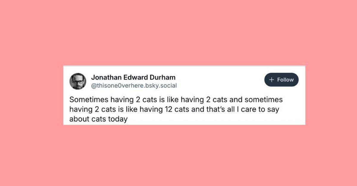 NextImg:23 Of The Funniest Posts About Cats And Dogs This Week