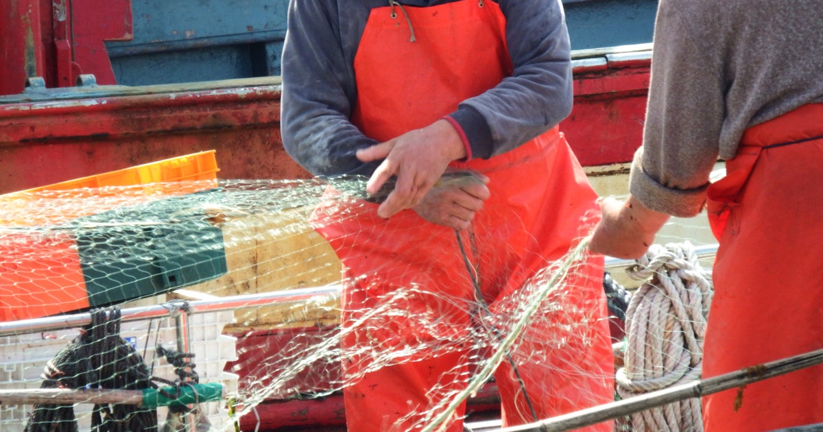 Dead Body Snagged By Fishing Boat's Nets Off Massachusetts Coast
