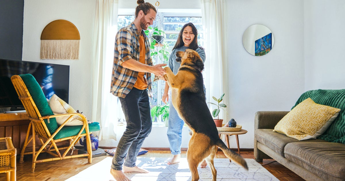 NextImg:Dogs Have Love Languages, Too. Here's What They Are And How To Figure Out Your Pet's.