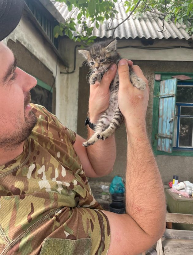 The author saved this kitten from one of the Donbas villages, and it is now living with guys in his unit.