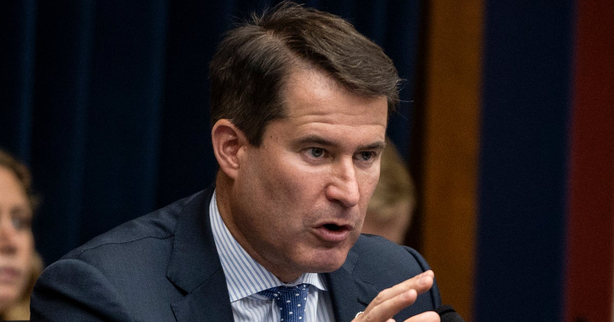 NextImg:House Democrat Smacks Down Trump's Double Standard On Protests Amid Tesla Backlash