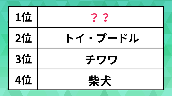 ランキング