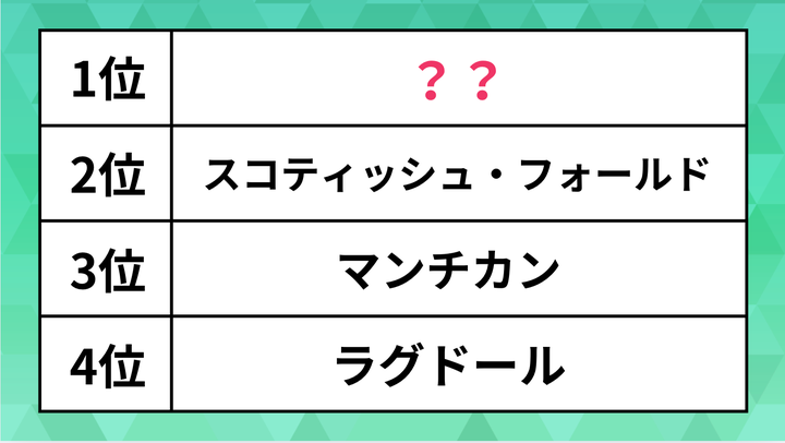 ランキング