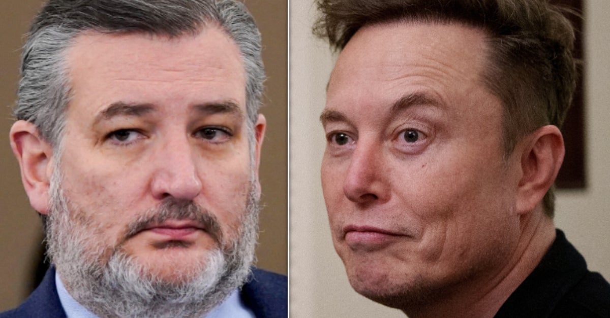 NextImg:Ted Cruz Asked The Internet For Musk Questions. You Know What Happened.