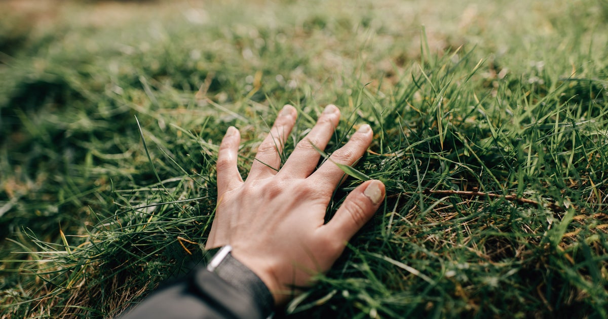 This App Makes You Literally Touch Grass To Use Your Phone