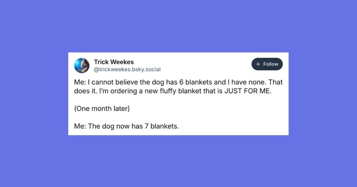 NextImg:23 Of The Funniest Posts About Cats And Dogs This Week