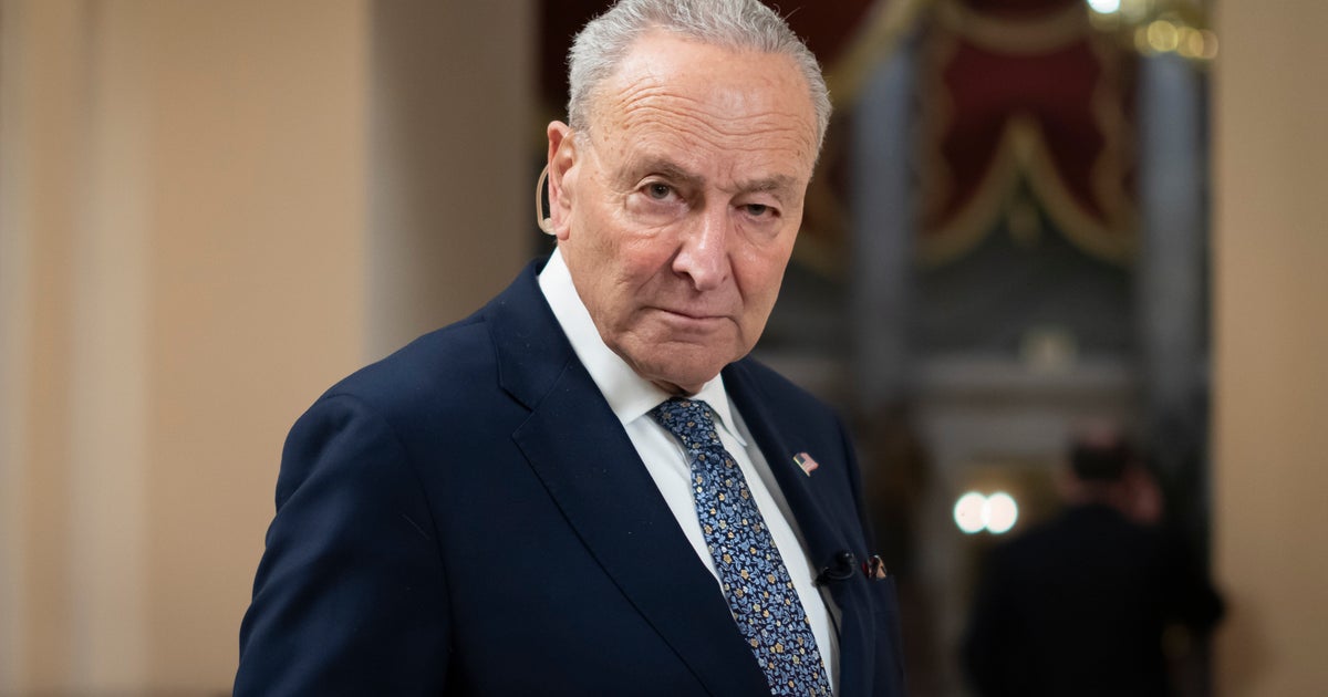 NextImg:Chuck Schumer Claims Dems Have 'Real Direction Now' — Days After Party Cracks Were Revealed