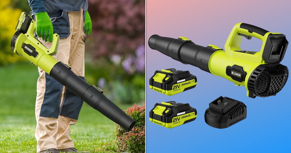 This Powerful Garden Gadget 'Transformed My Yard Maintenance Routine' — And It's Under $66
