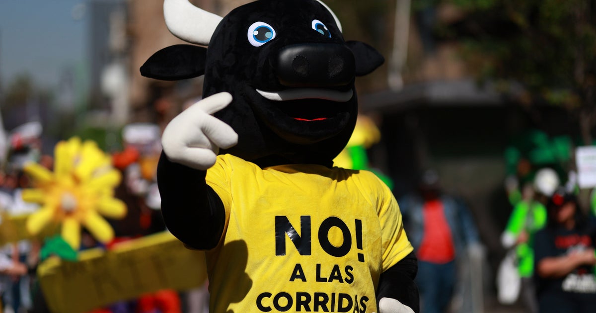 NextImg:Mexico City Bans Violent Bullfighting, Sparking Fury And Celebration