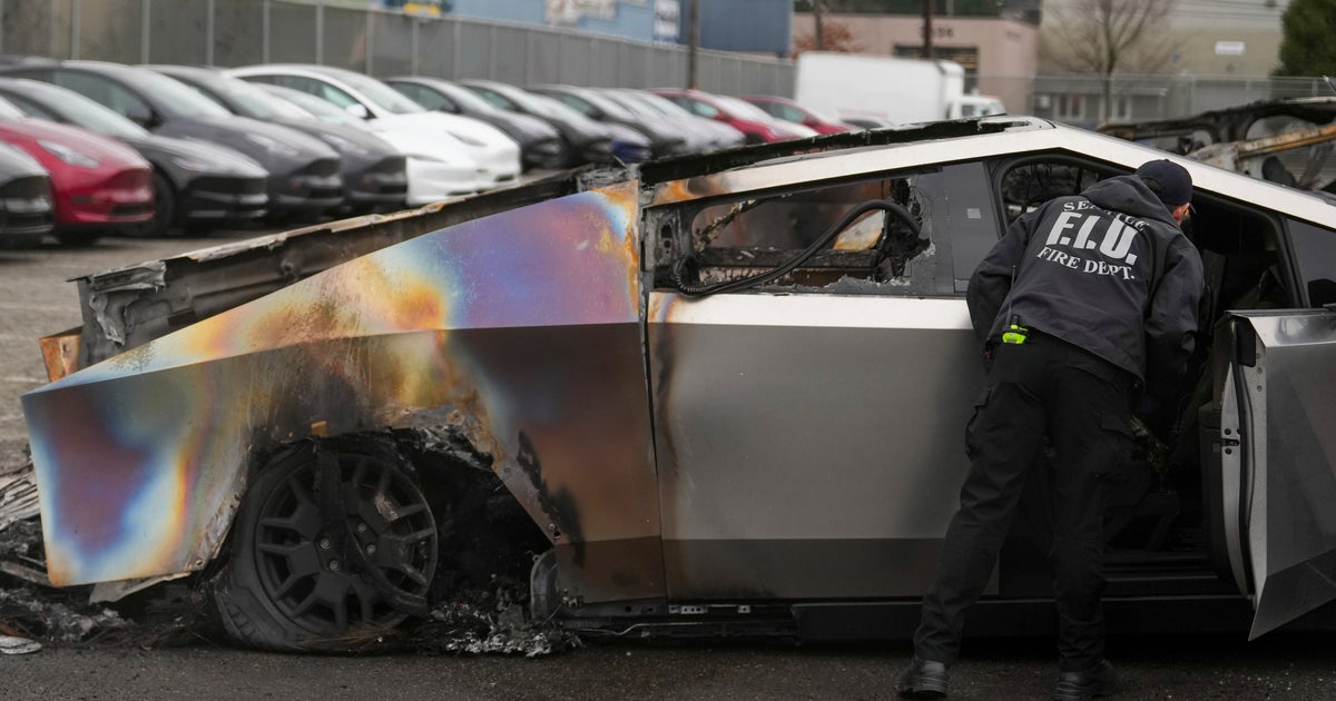 Violent Attacks On Teslas Surge Amid Musk's Controversial Role In Trump White House