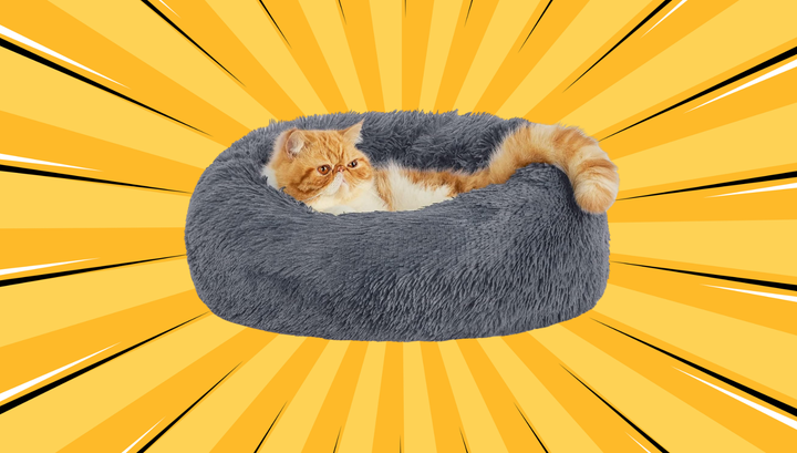 Bedsure donut-shaped pet bed