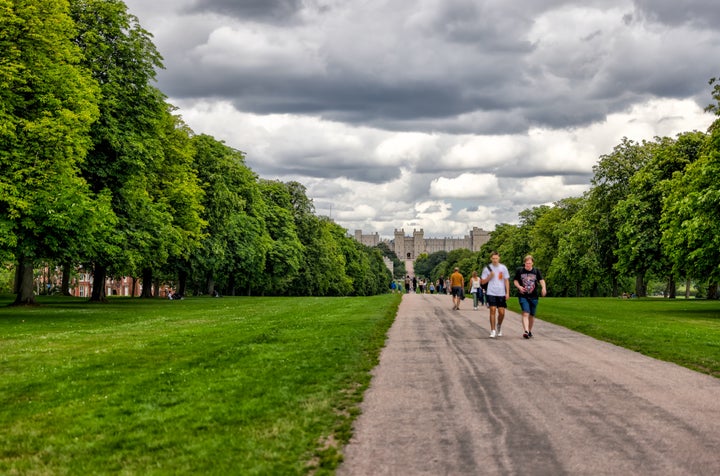 Windsor Great Park.