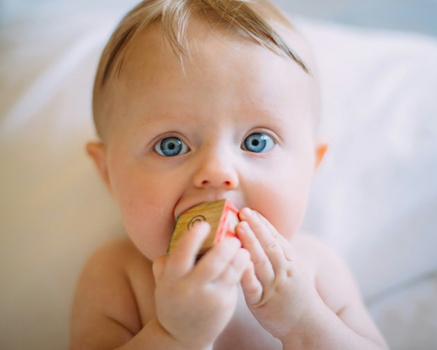 A baby chewing a block