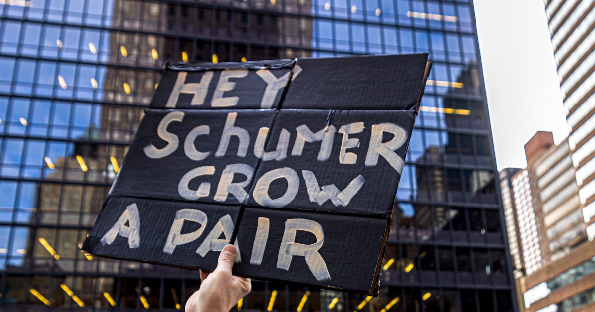Schumer Rejects Calls Within Party For Braver Democratic Leadership