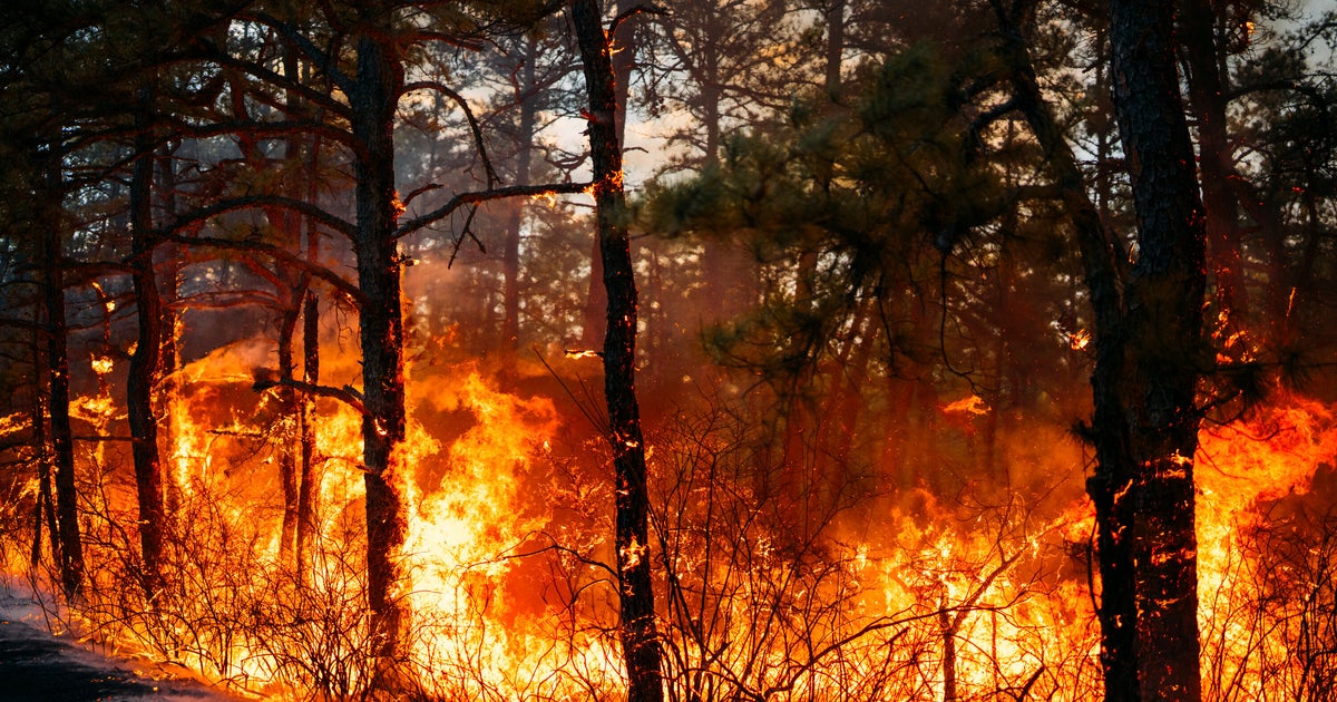 Wildfires Prompt Evacuations In Carolinas, As New Jersey Crews Battle Blaze