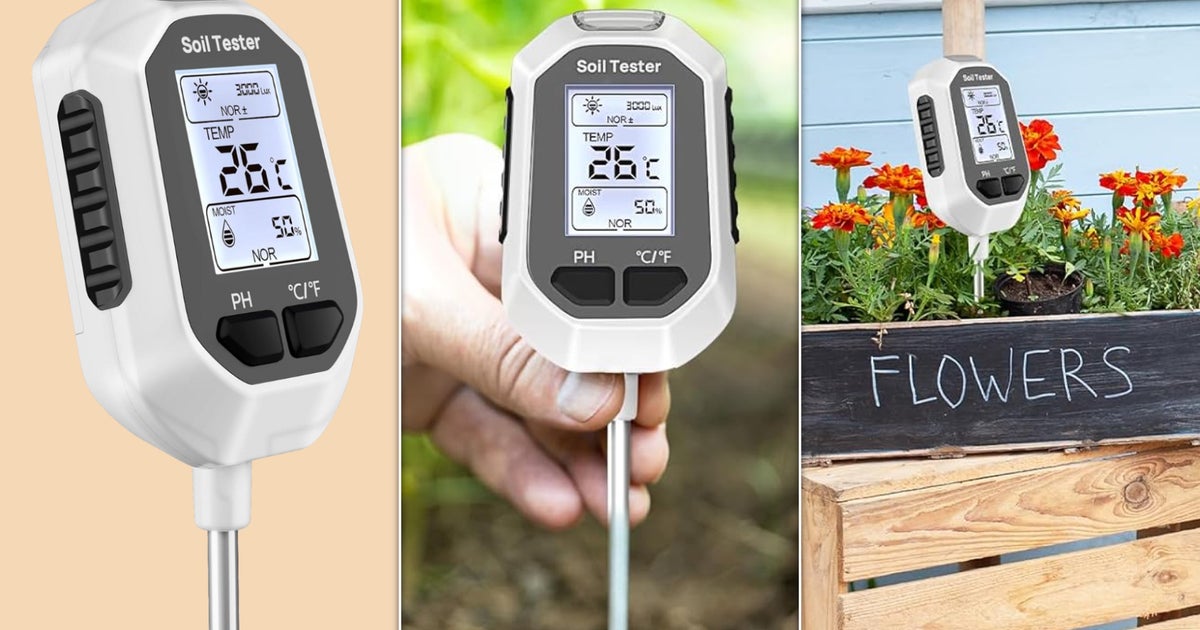 Lidl and Aldi Undercut Bosch with Garden Gadgets