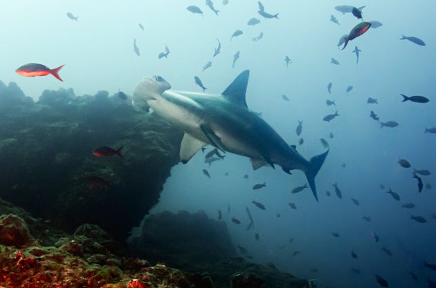 Φωτογραφία Αρχείου.