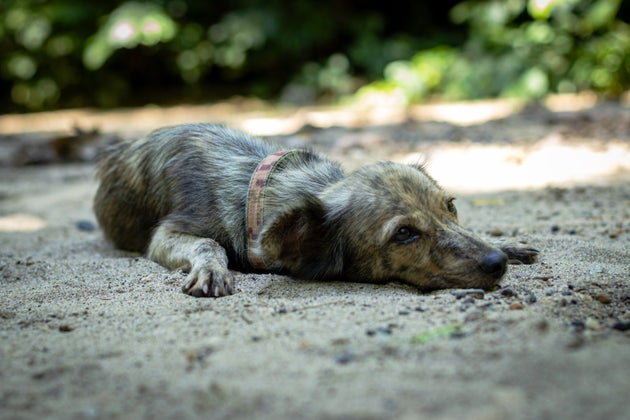 Φωτογραφία αρχείου