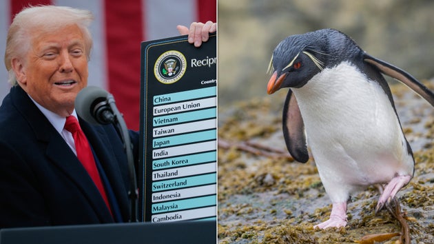 （左）ホワイトハウスで相互関税を発表するトランプ大統領（右）フォークランド諸島で撮影されたイワトビペンギン