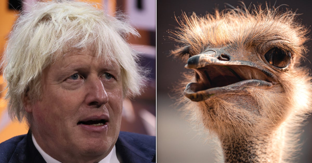Boris Johnson Attacked By Ostrich In Hilarious Video Shared By His Wife
