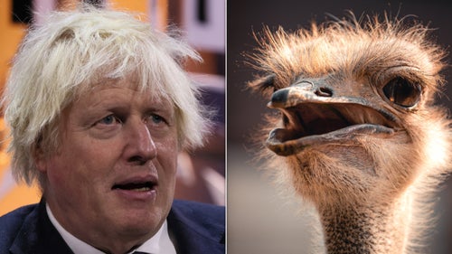 Boris Johnson with the Ostrich