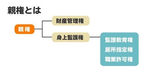 親権には、財産管理権と身上監護権が含まれます。