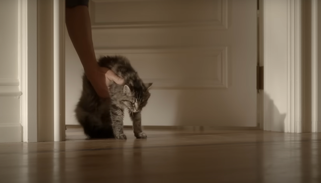 Didn't Carrie literally call her cat Shoe? Wild...