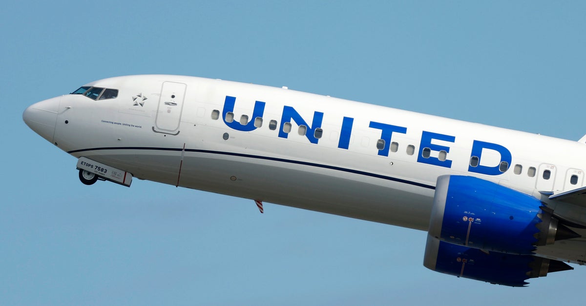 NextImg:Rabbit Sucked Into United Airlines’ Plane Sparks Shocking Engine Fire