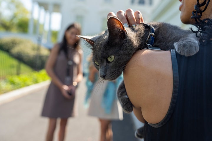Sophie being held by Francesca Chambers, White House Correspondent for USA Today.