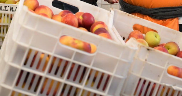 Φωτογραφία αρχείου