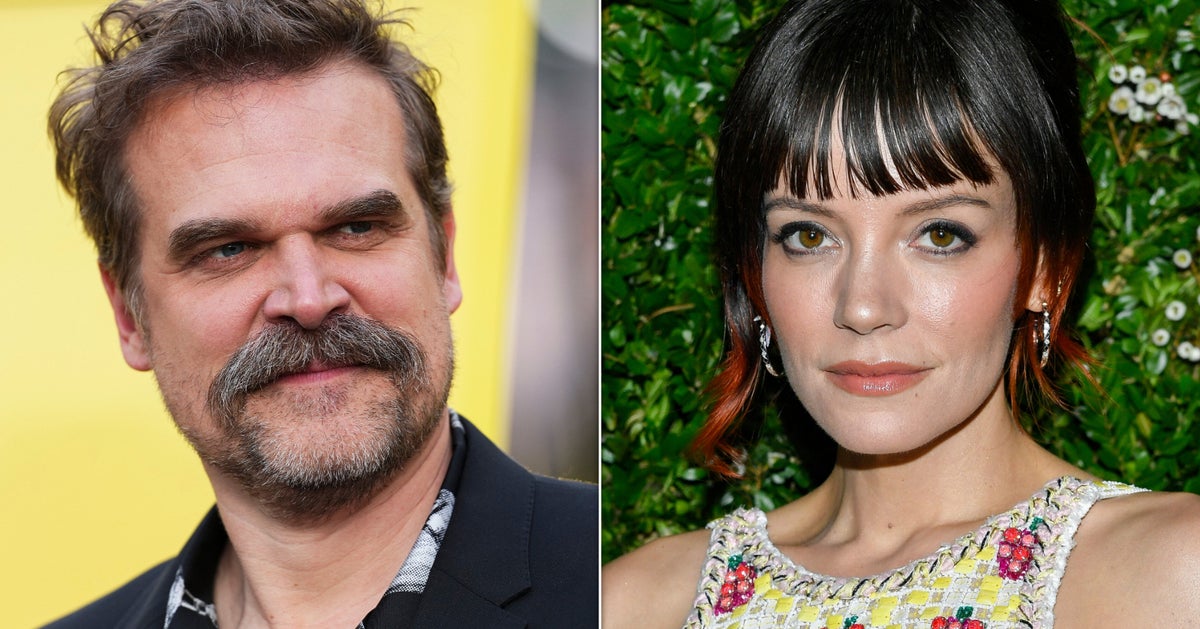David Harbour Breaks His Silence On 'S**tshow' Split With Lily Allen
