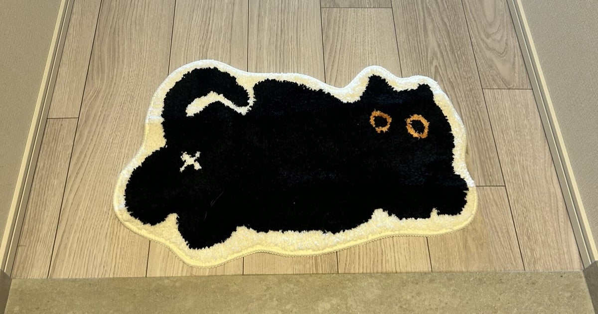 トリックアート 幽体離脱 カーペットと 同化 した黒猫が 擬態しすぎ と反響 LIFE