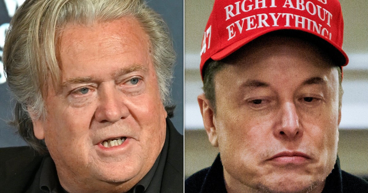 NextImg:Steve Bannon Says Musk's White House Agenda Is Pure Selfishness