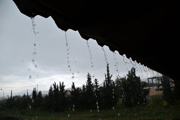 Φωτογραφία αρχείου