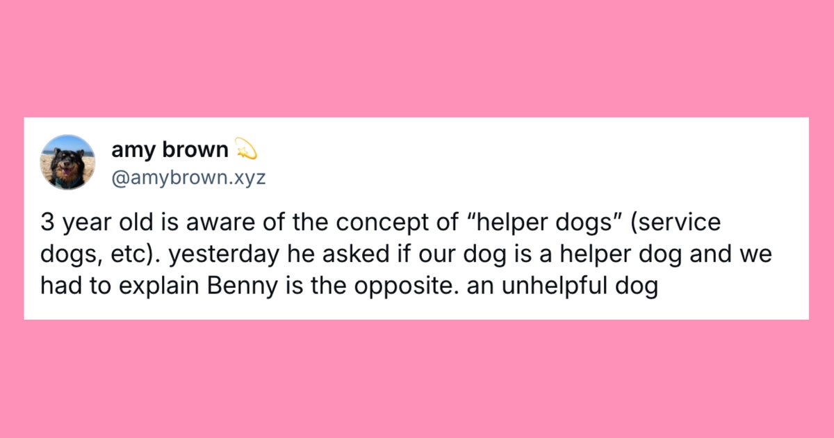 21 Of The Funniest Posts About Cats And Dogs This Week (April 19-25)