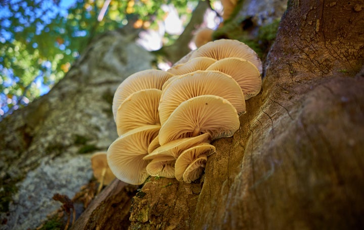 Φωτογραφία Αρχείου.
