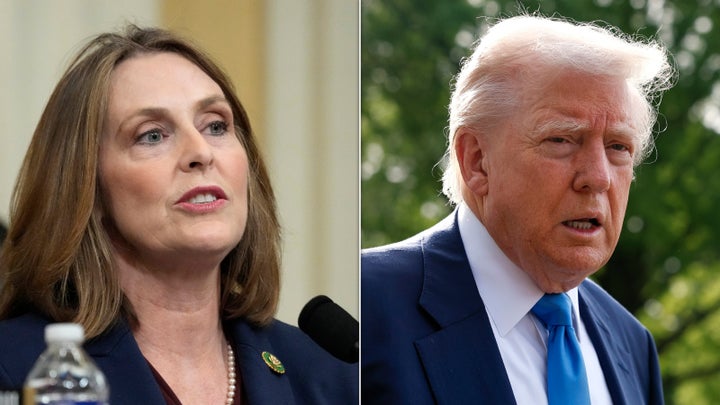 La representante Kathy Castor (D-Fla) dice que la administración de Donald Trump le quitó a una madre de Tampa a su bebé y la deportó ilegalmente a Cuba.