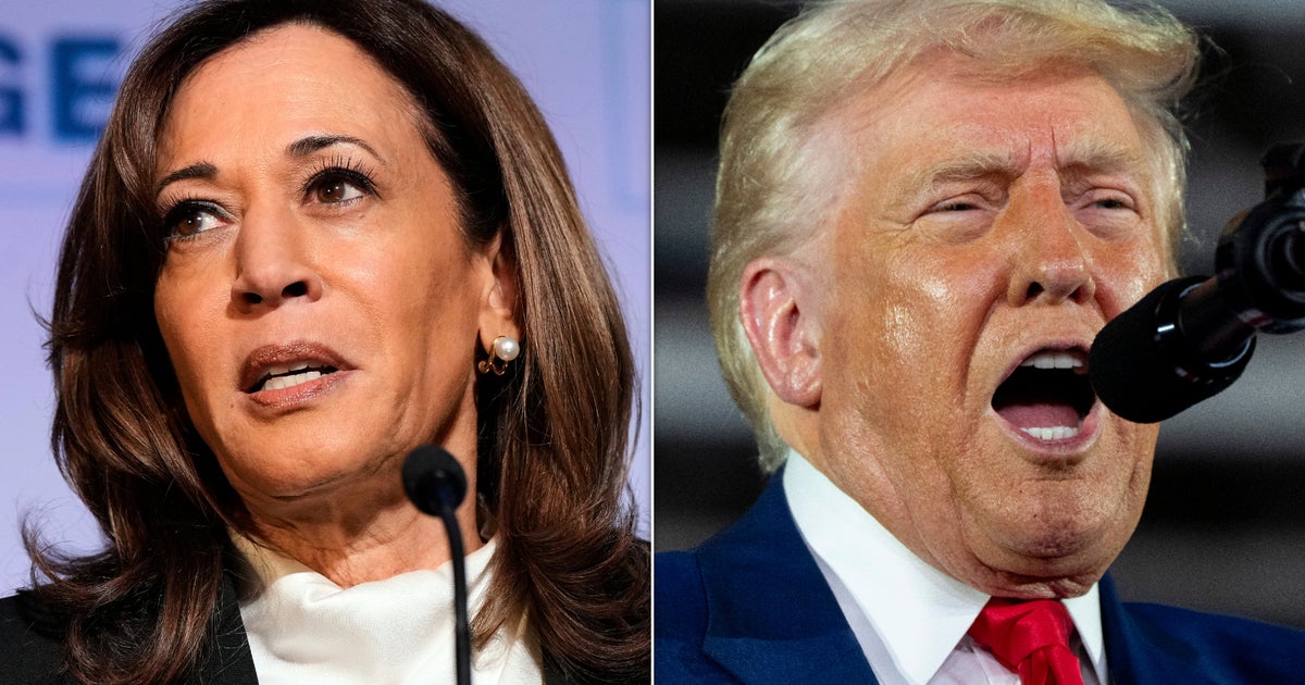 Kamala Harris Torches Trump Over ‘Reckless Tariffs’